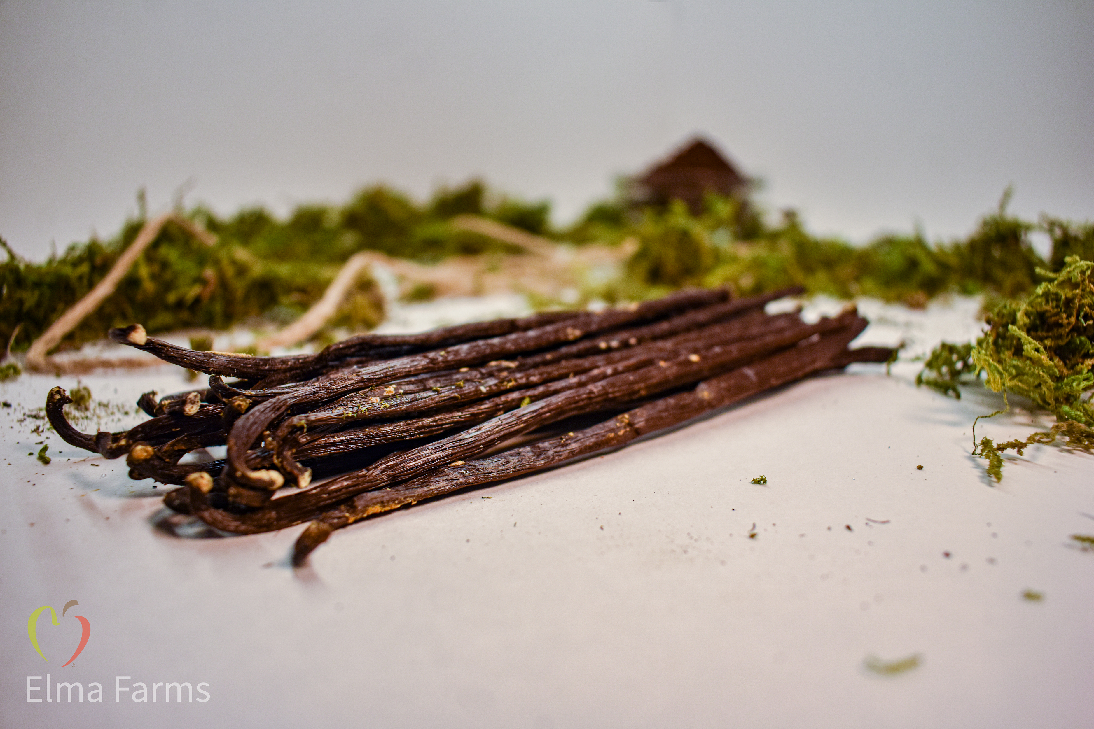 Grade A Gourmet Madagascar Vanilla Beans